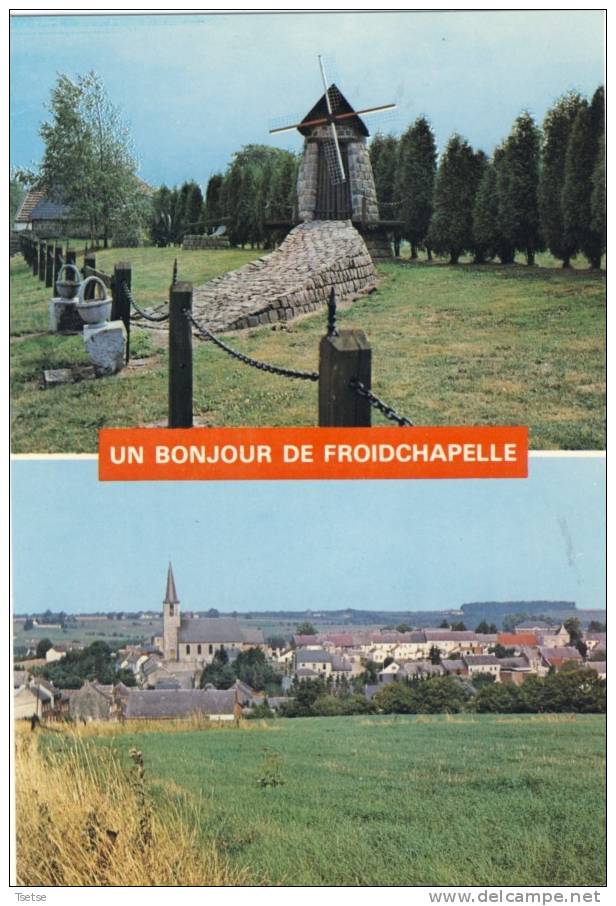 Froidchapelle - Un Bonjour De ... - Carte Verticale , 2 Vues - Froidchapelle