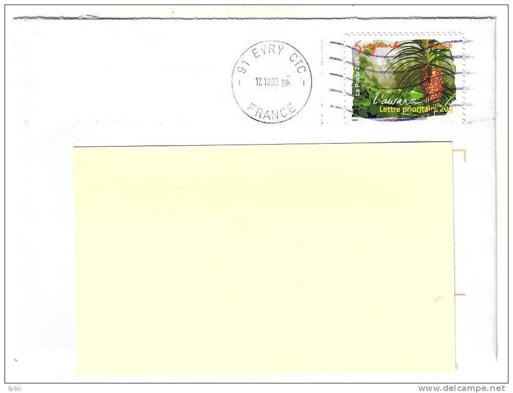 FRANCE - Guyane - Nouveauté 2009  Sur Lettre - Brieven En Documenten