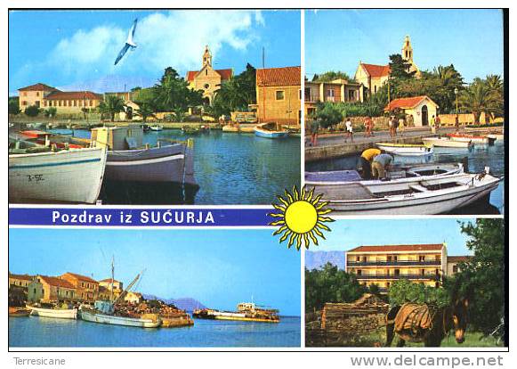 X POZDRAV IZ SUCURJA BARCHE DA PESCA FISHING BOOTS OLD POSTCARD VIAGGIATA - Visvangst