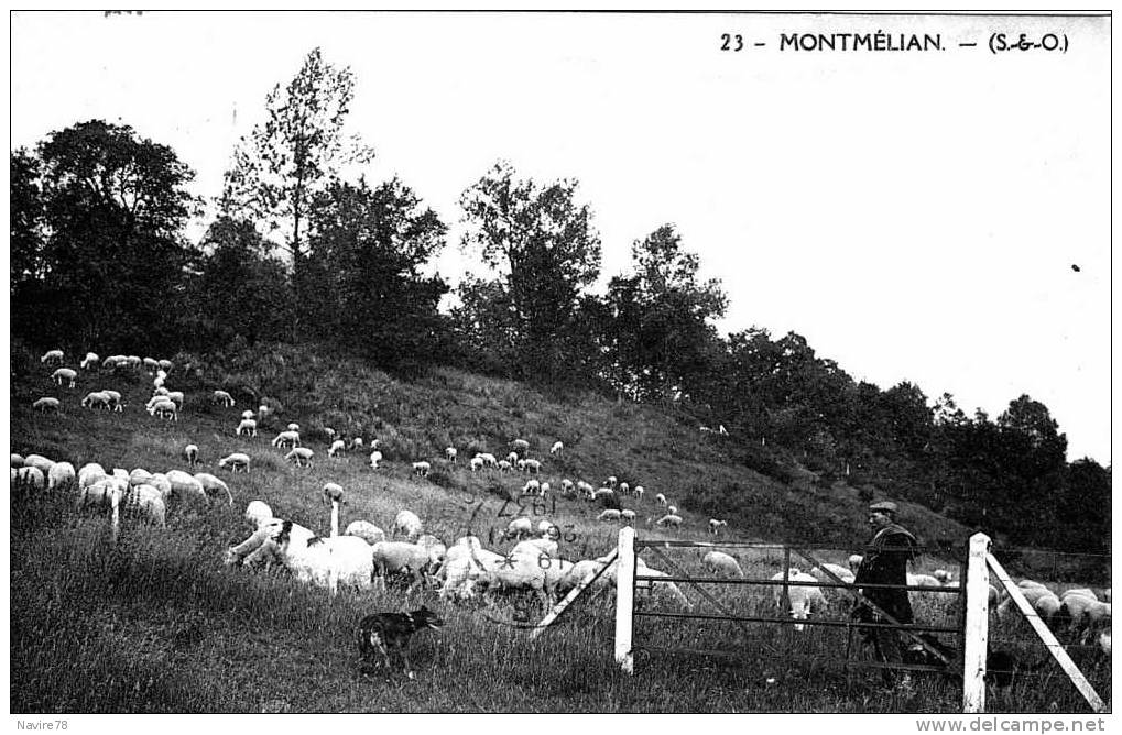 95 Cpa SAINT WITZ.  MONTMELIAN.   BERGER AVEC SES MOUTONS ET SON CHIEN. - Saint-Witz