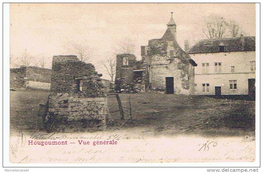 Hougomont - Vue Générale - Eigenbrakel