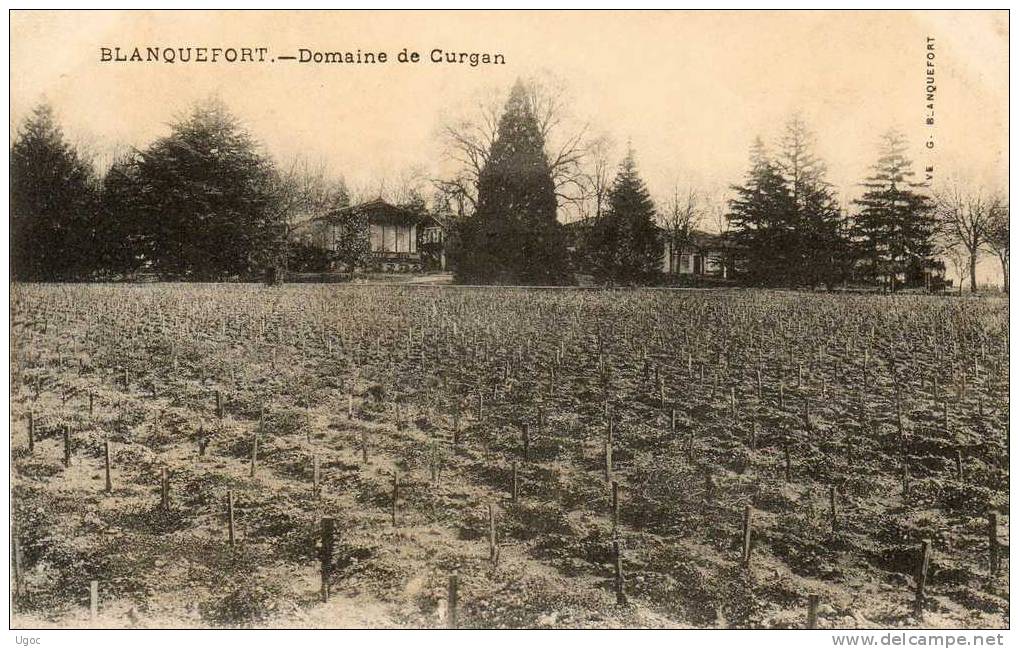 CPA -33 - BLANQUEFORT - Domaine De Curgan - 254 - Blanquefort