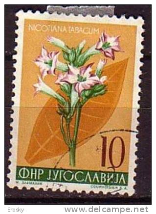 PGL - YUGOSLAVIE Yv N°668 - Used Stamps