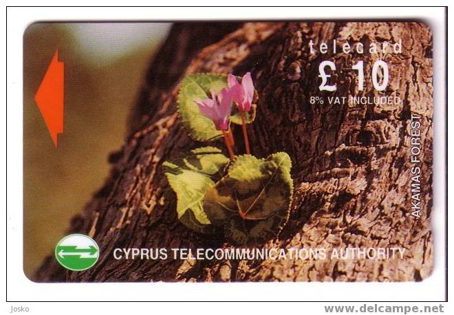 AKAMAS FOREST ( Cyprus Code 21CYPB ) * RARE - Only 28.000 Ex * Violet Violette Viola Wild Flowers Flower Fleur Fleurs - Chipre