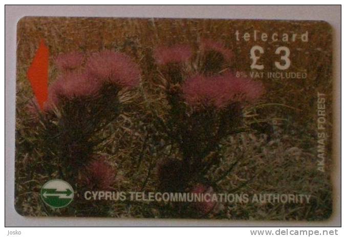 AKAMAS FOREST ( Cyprus Old GPT Card ) Wild Flowers Fleur Flor Blume Fiore Bloem Flower Fleurs Flors Blumen Chypre Cipro - Cyprus