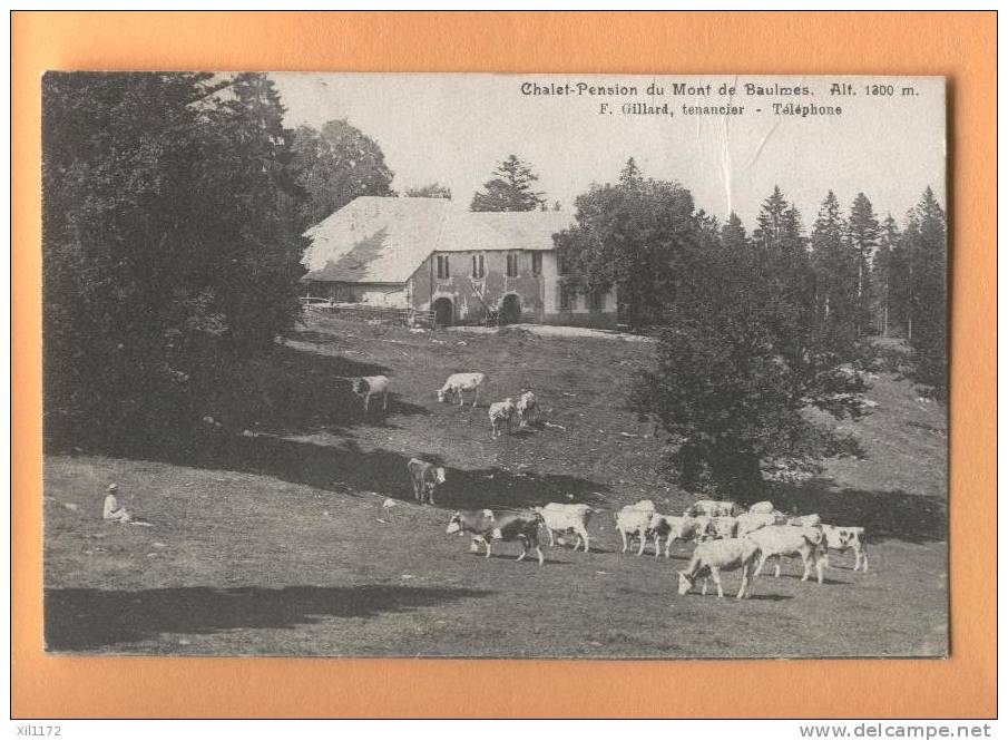 D944 Chalet Pension Mont Baulmes.Gillard. Vaches, Jura Vaudois. Cachet Yverdon Ste-Croix 1921 Et Rances - Baulmes