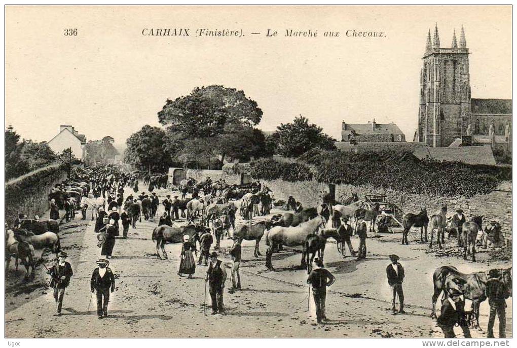 CPA - 29 - CARHAIX - Le Marché Aux Chevaux -  336 - Carhaix-Plouguer