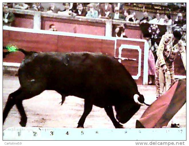 TORO TOROS  ARENA TOREADOR FAENA DE MULETA N1975 CD6335 - Tauri