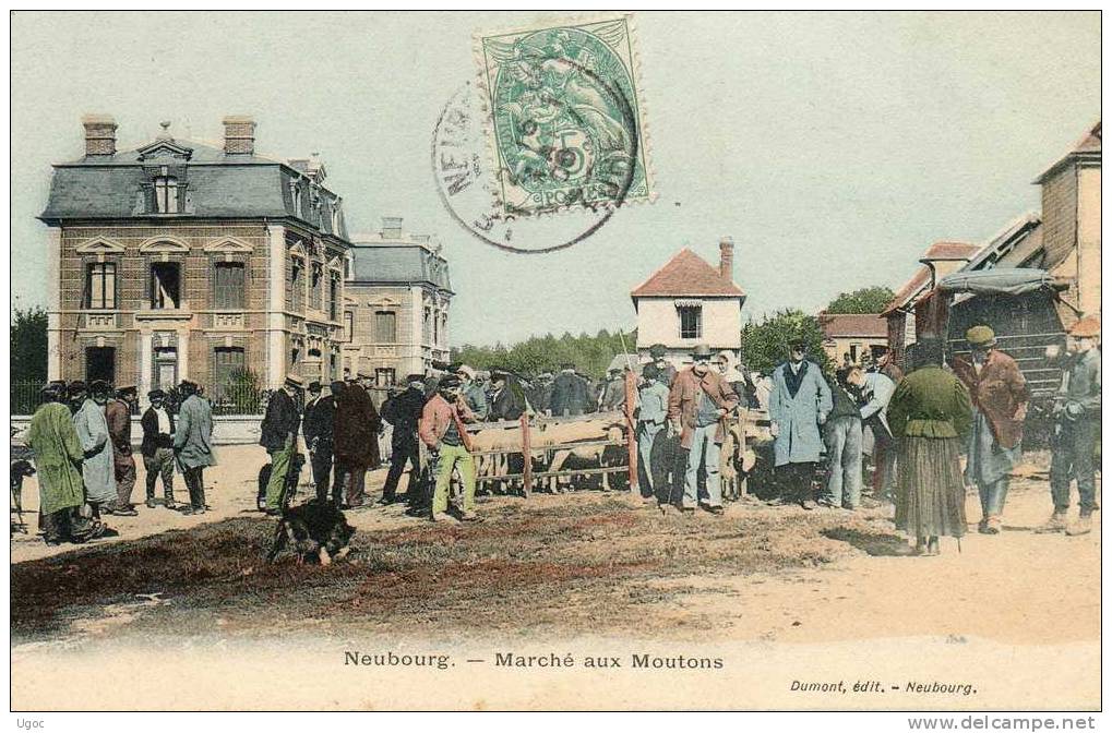 CPA - 27 -  NEUBOURG - Marché Aux Moutons - 375 - Le Neubourg