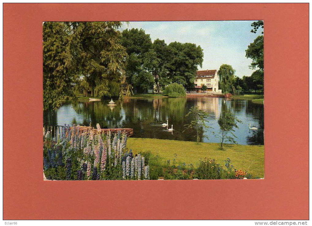 Kaiserslautern - Café Restaurant Zum Volkspark -  Parkplatz B. Hause   CPSM  Grd Format  Année 1963 - Kaiserslautern