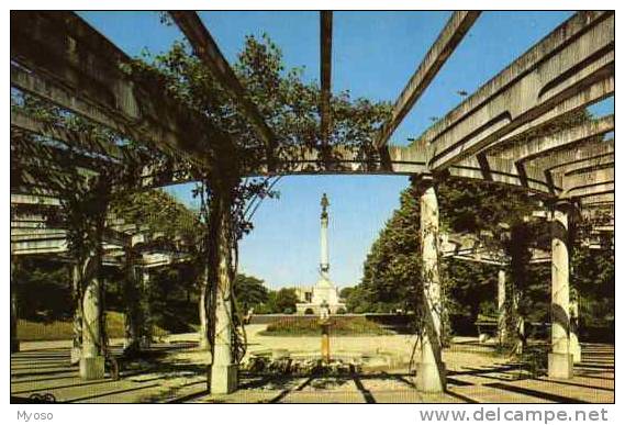 81 CARMAUX Parc De La Serenite Et Le Monument Aux Morts - Carmaux