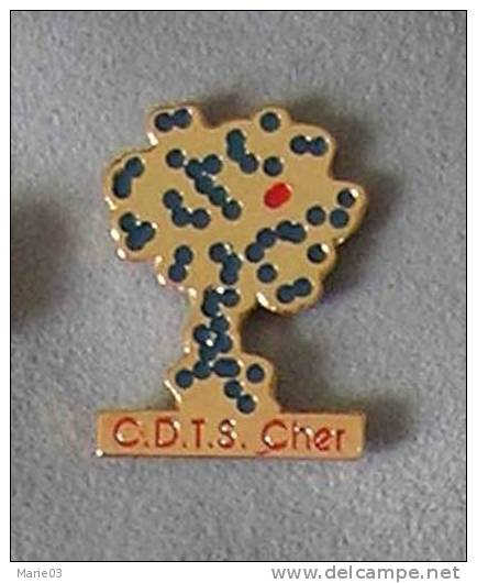 Pin's C.D.T.S. Cher - Don Du Sang - Verenigingen