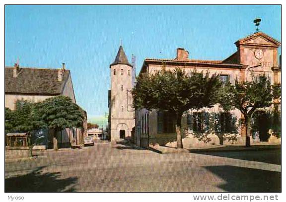 81 PAMPELONNE L'Eglise Et La Mairie - Pampelonne