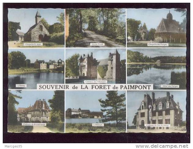 Souvenir De La Forêt De Paimpont Multivue édit.artaud Chateau Les Forges Belle Cpsm - Paimpont