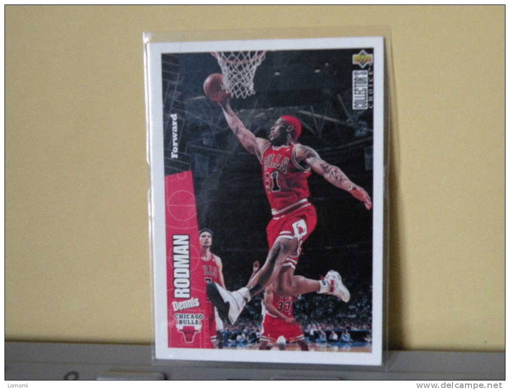 Chicago Bulls - 95 / 96 ( Carte ) Dennis Rodman - Collector S - N.B.A . N° 22 . 2 Scannes - Chicago Bulls