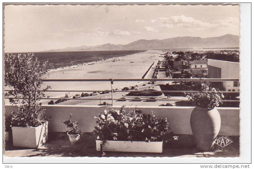 66.058/ CANET-PLAGE - Vue Générale, Rive Droite (cpsm N°529) - Canet En Roussillon