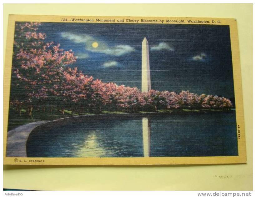 Washington Monument And Cherry Blossoms By Moonlight Washington DC Photo Crandall - Washington DC