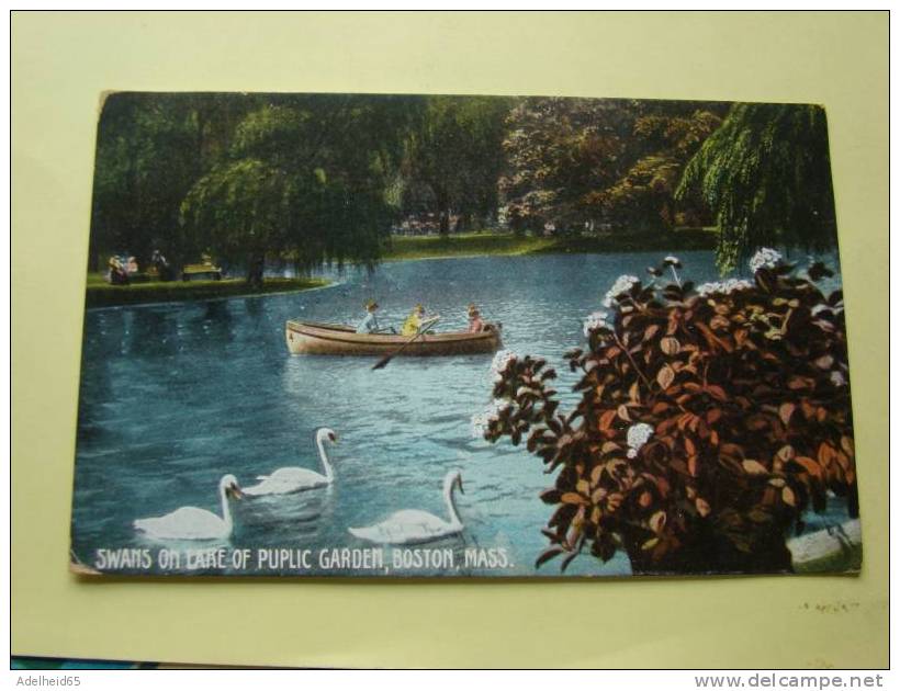 Swans On Lake Of Public Garden, Children, Boat,  Boston MA Publ Metropolitan News - Boston