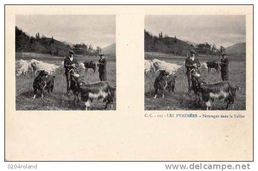 Les Pyrénées - Paysages Dans La Vallée :  Achat Immédiat - Stereoscope Cards