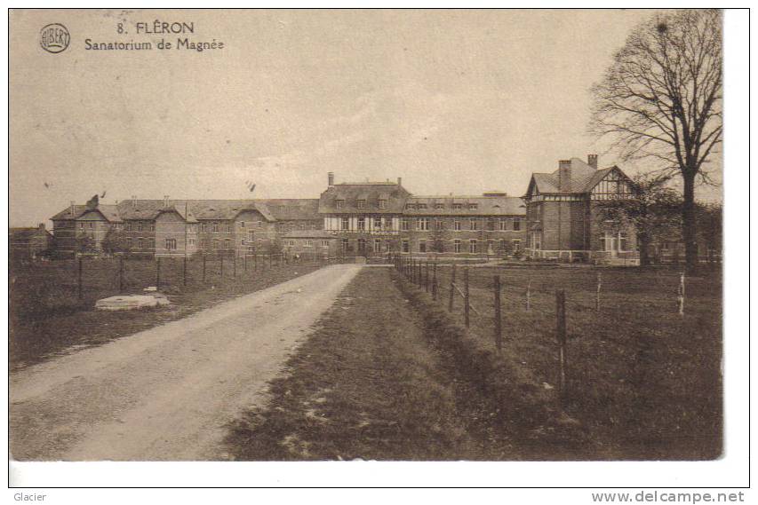 8. - FLÉRON - Sanatorium De Magnée - Fléron