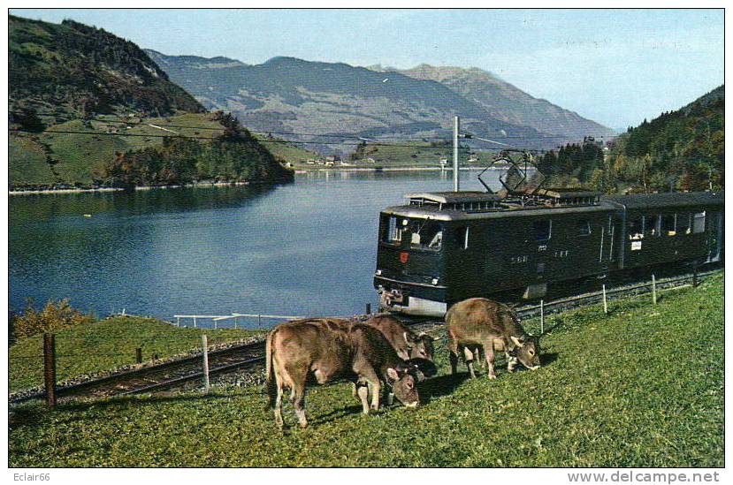 Ligne Du  Brünig  La Ligne Ferroviaire Du Brünig, Qui Relie Lucerne à Interlaken, Cpm Année 1964 édition La Vie Du Rail - Eisenbahnen