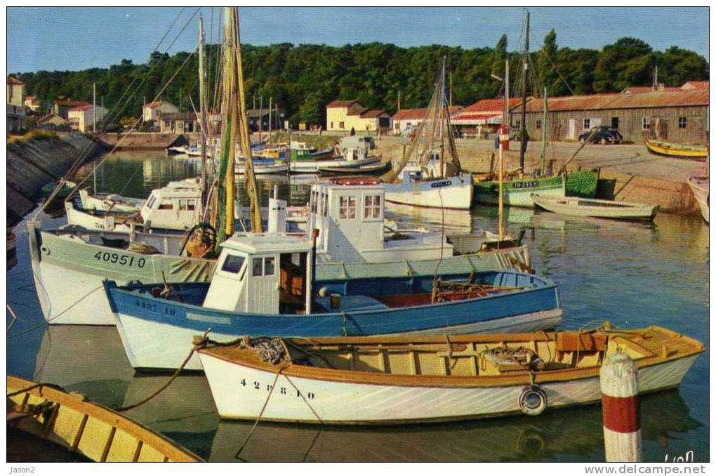 Cpm Bateaux De Peche Dans Le Port De St Trojan( Ile D'oleron) 1977 - Visvangst