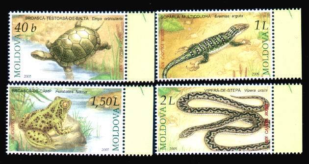Reptiles Mint Set  MNH 2005 Of Moldova. - Tortues