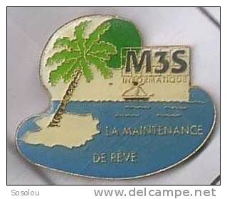 La Maintenance De Reve M3S Informatique, Le Palmier Et La Mer - Informatica