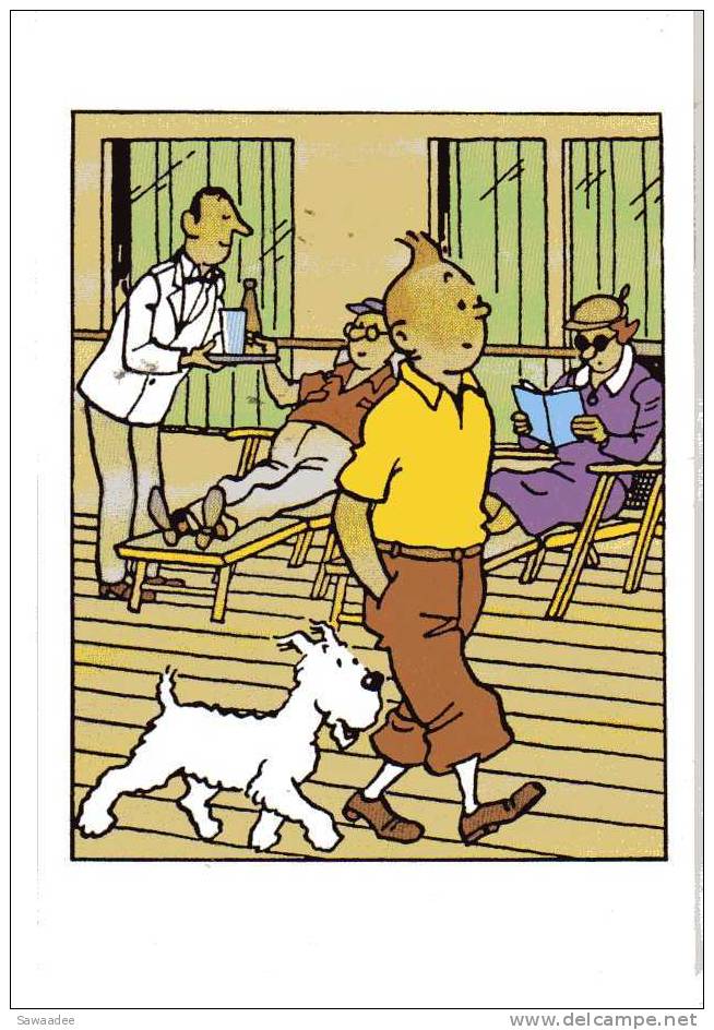 CARTE POSTALE - FRANCE - TINTIN - HERGE - TINTIN ET MILOU MARCHANT SUR UNE PASSERELLE DE BATEAU - SERVEUR - TRANSAT - Ansichtskarten