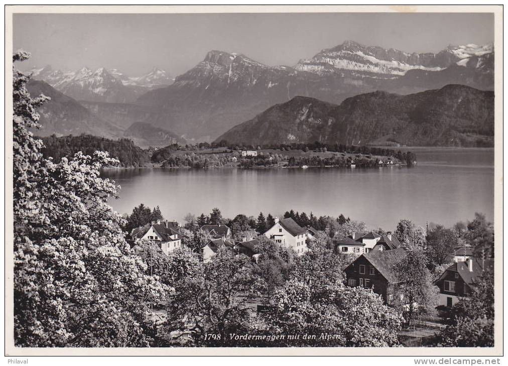 Vordemeggen Mit Den Alpen - Cp 10 X 15 - Meggen