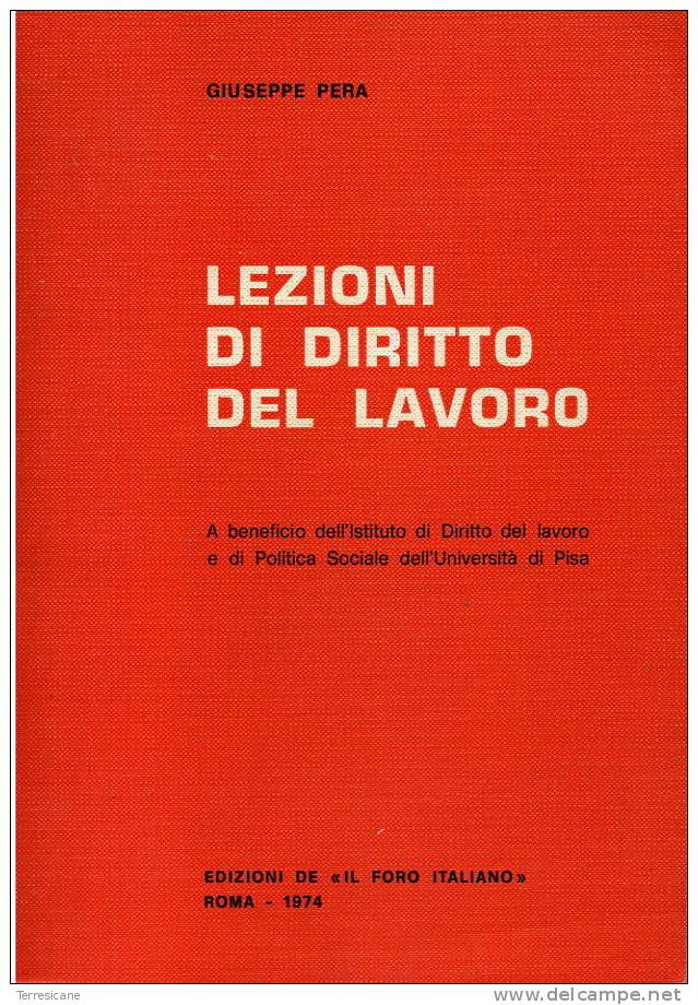 X 3F LEZIONI DI DIRITTO DEL LAVORO	 GIUSEPPE PERA	FORO ITALIANO	1974 - Law & Economics
