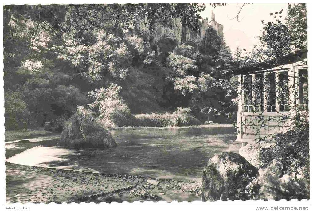 FONTAINE DE VAUCLUSE 84 : Le Lac Et Terrasse Du Restaurant - L'Isle Sur Sorgue