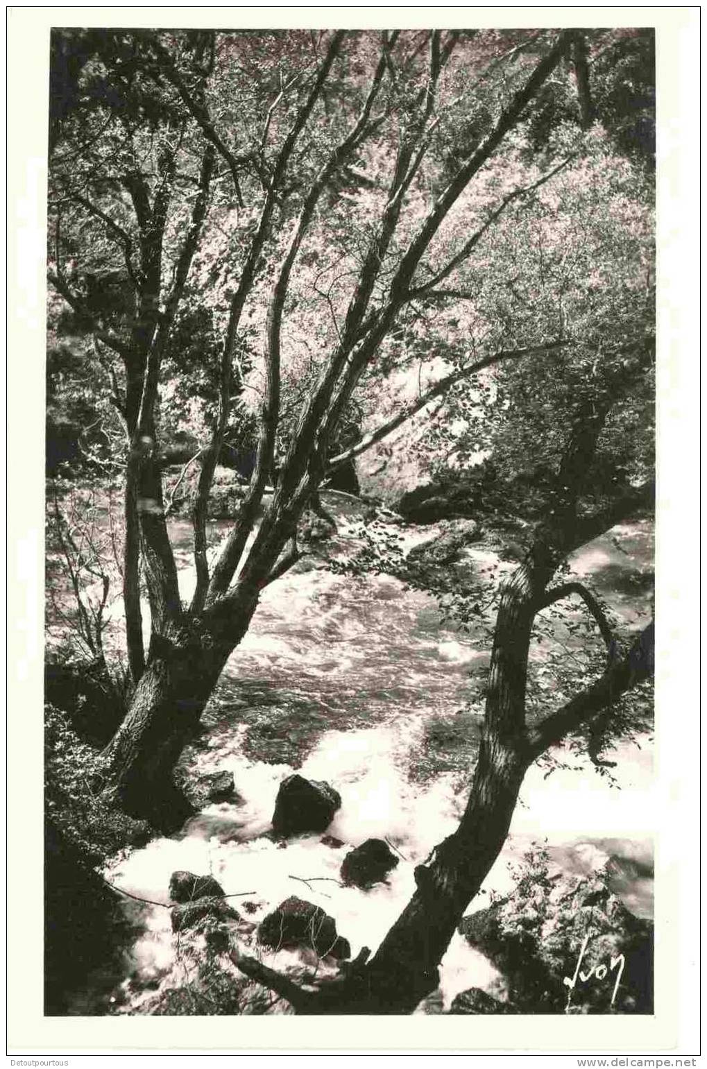 FONTAINE DE VAUCLUSE 84 : Lot 2cp Cascades Et Rochers - L'Isle Sur Sorgue