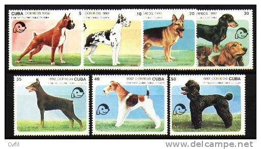 CUBA 1992 - CHIENS DE RACES (7) - Unused Stamps