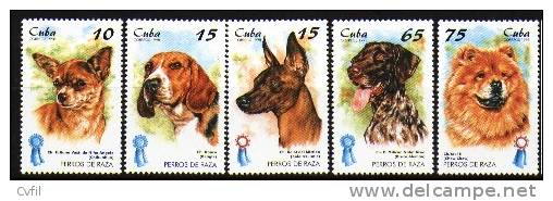 CUBA 1998 - FAUNE - CHIENS (TÊTES) - 5v - Unused Stamps