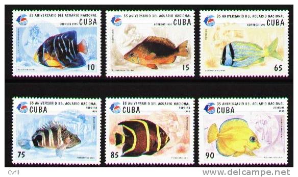 CUBA 1995 - L'AQUARIUM NATIONAL - POISSONS (6) - Nuevos