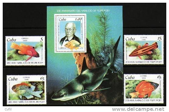 CUBA 1999 - FELIPE POEY - POISSONS - REQUIN (4 + BF) - Neufs