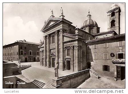 URBINO. DUOMO. - Urbino