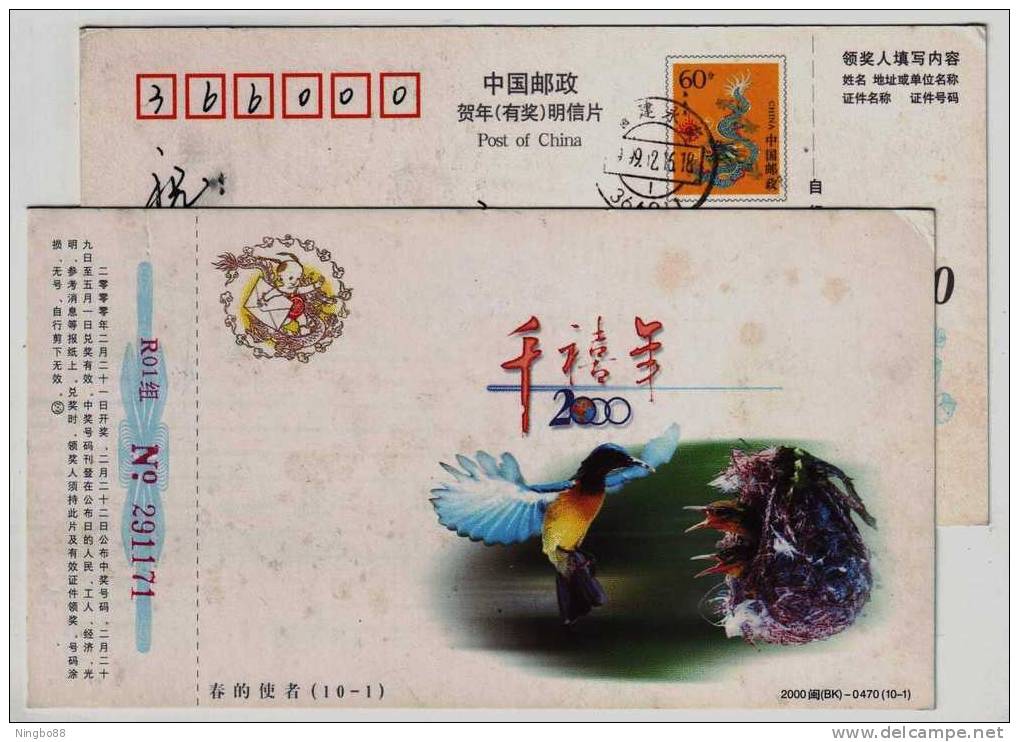 Spring Emissary Hummingbird,Bird Feeding,China 2000 New Millennium Advertising Pre-stamped Card - Segler & Kolibris