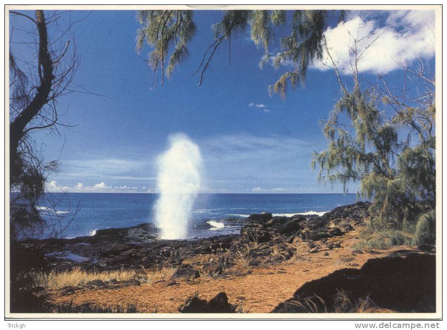 Hawai / Spouting Horn / Kauai Island Salt Water Geyser - Kauai
