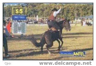 # URUGUAY Tc45a Doma $5 Sc7 04.99 -animal,horse,cheval-  Tres Bon Etat - Uruguay