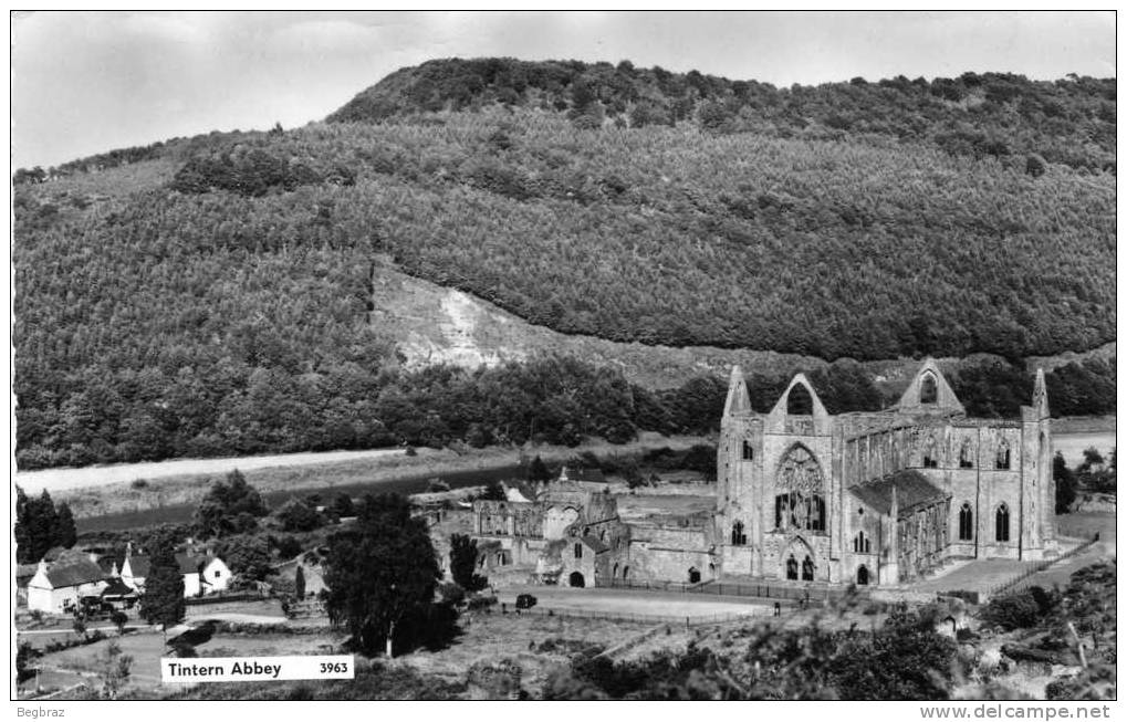 TINTERN ABBEY - Monmouthshire