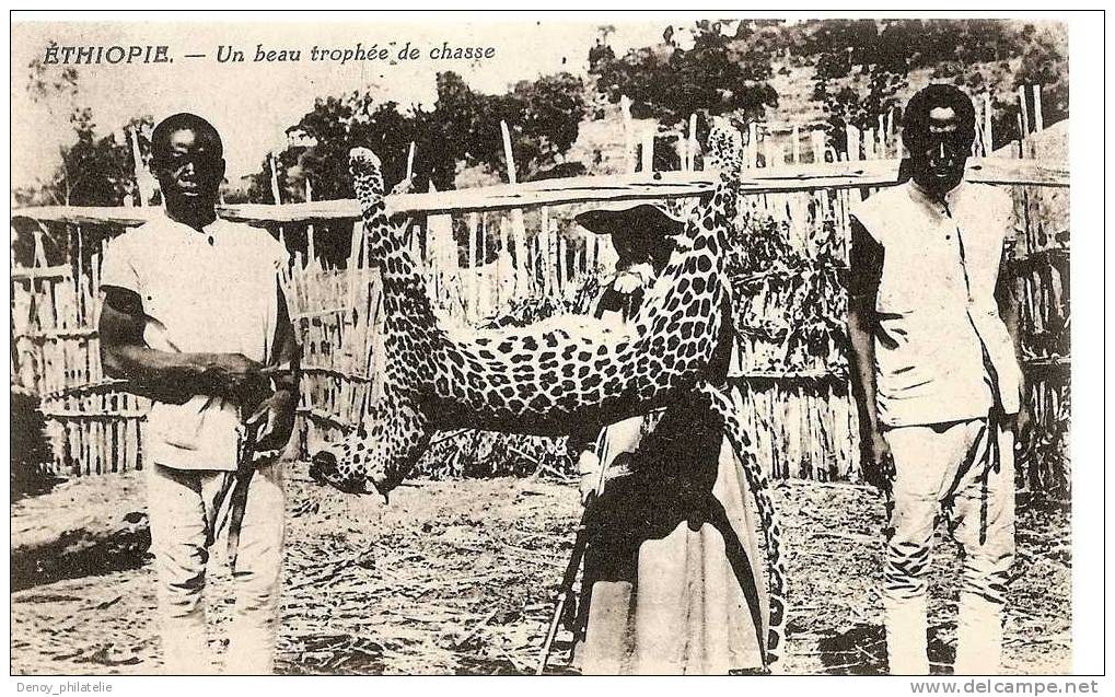 ETHIOPIE- UN BEAU TROPHEE DE CHASSE - Ethiopië