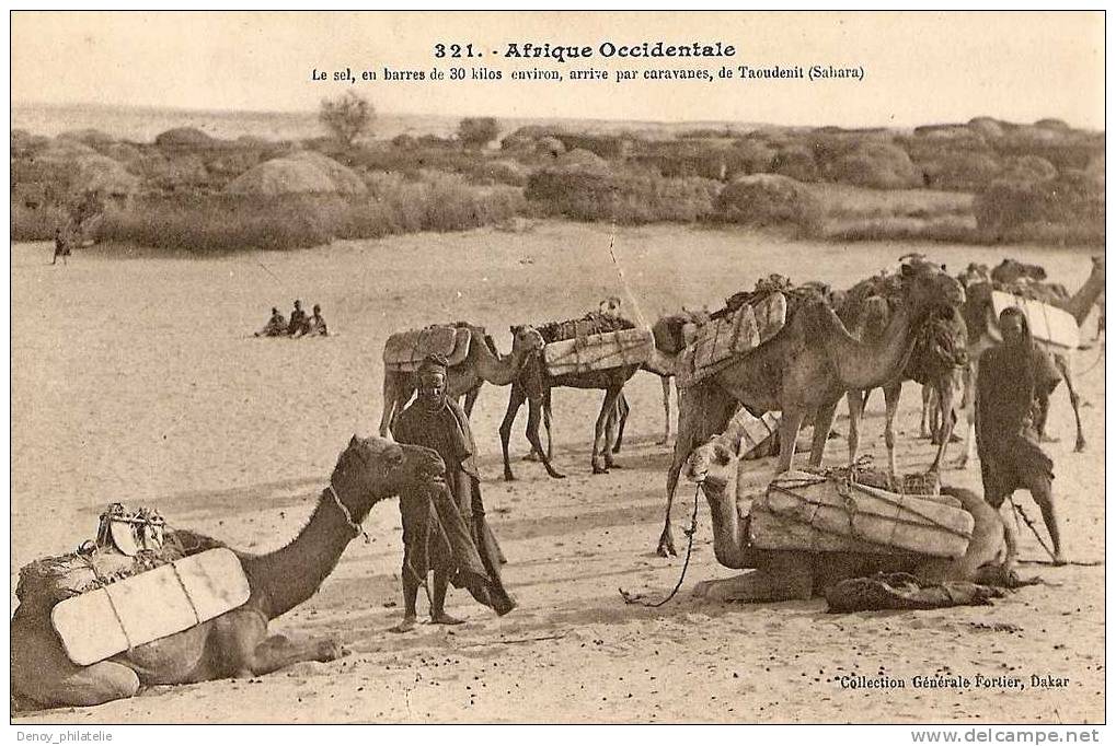 AFRIQUE OCCIDENTALE - LE SEL/ EN BEURRE DE 30 KILOS ENVIRON PAR CARAVANES DE TAOUDENIT - Soudan