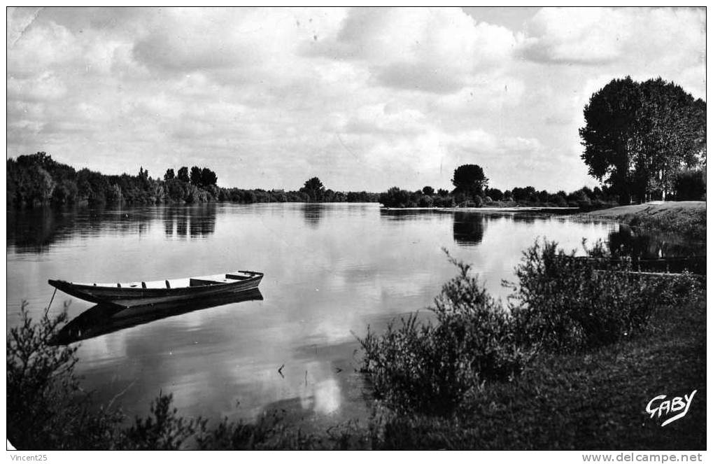 CHALONNES SUR LOIRE 1950 ETANG - Chalonnes Sur Loire