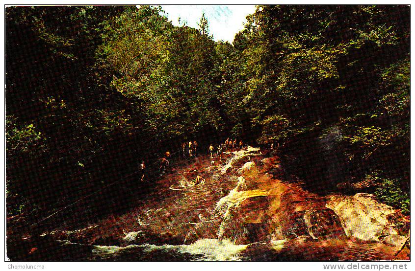 USA Scenic Sliding Rock On Looking Glass National Forest Western North Carolina Water Falls Swimming - Other & Unclassified