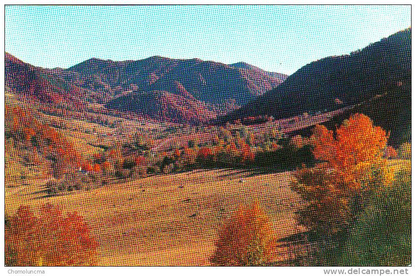 USA Intituled "An Autumn Scene In Maggie Valley, As Seen From US Highway19, Western North Carolina" Mountains Trees - Andere & Zonder Classificatie