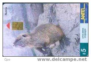 # URUGUAY Tc93a Nutria $5 Gem 11.99 -animal- Tres Bon Etat - Uruguay