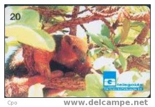 # BRASIL 9904A8 Tamandua - Mirim Ou Melete -animal- 20  04.99 Tres Bon Etat - Brasilien