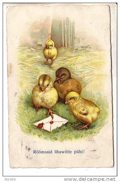 GOOD OLD POSTCARD - Chicken & Ladybird - Insects